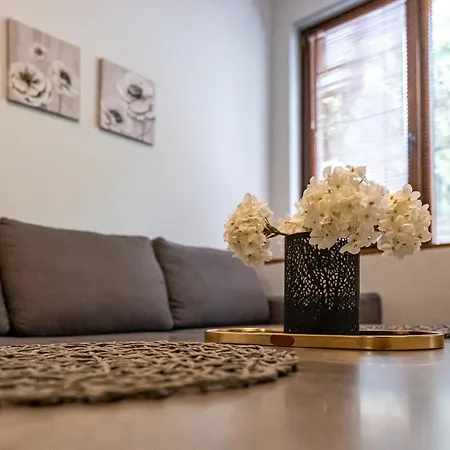 Apartment Karavelov Center *